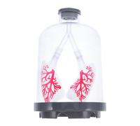 SEWACC Human Lung Model Diaphragm Movement Simulator Teaching Tool Lung Breathing Experiment Kit Educational Science Toy for Students Large Size