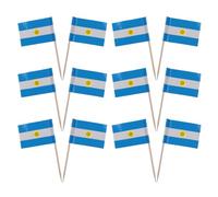 SEWACC Mini Flag Toothpicks 200Pcs for Fruit Snack Decorations Holiday Party Cake Toppers Argentina Cocktail Picks