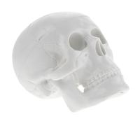 SEWACC Mini Skull Model for Teaching Anatomy and Practicing Drawing, Highly Realistic White Pvc Anatomical Skull Model with Detailed Design for Science Education and Halloween Decorations