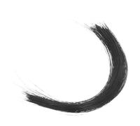 SEWACC Realistic Simulated Cat Whiskers Needle Felting Craft Accessory for Dolls DIY Animal Projects Soft Black Furry Parts for Creative Sculpting and Handmade Crafts