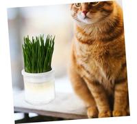 SEWACC Soilless Cat Grass Box Hydroponic Planter with Large Water Reservoir Practical Indoor Catnip Growing Tray for Easy Water Change White Nursery Planting Container for Cats