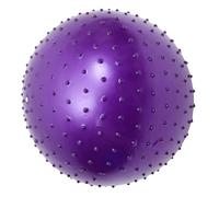 SEWACC Spiky Massage Exercise Ball for Pregnancy, Large Pvc Purple