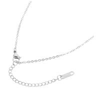 SEWACC Stainless Steel Necklace Link Chain with Lobster Clasp and Extender for Jewelry Making Skin-friendly Chain for DIY Accessories Elegant Modern Women Fashion