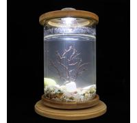 SEWACC Transparent Glass Ecological Desktop Fish Tank Micro Landscape Aquarium for Home Office Decoration Creative Rounded Rotating Fish Bowl with View for Micro Aquatic Plants and
