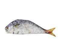 Sewing Pattern Bags Pen Unisex Bags Casperle Fish Student Pouch Fashion Pencil Makeup Zip Bags Ladies Original, yellow, 28cmx10cmx1cm