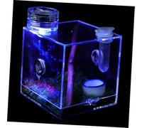 SEWOART 3pcs Box Spider Habitat Box Jumping Spider Breeding Case Reptile Housing with Accessories