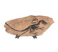 SEWOART Desktop Dinosaur Fossil Model Ornament with Vibrant Spiral Patterns Ancient Specimen Decoration for Home and Office Realistic Dinosaur Bones for Educational and Aesthetic Display