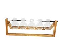 SEWOART Glass Vases for Plant Propagation Decorative Flower Pots Stands for Home Office