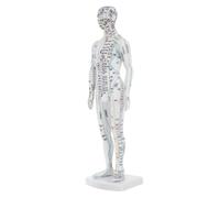 SEWOART Human Body Acupuncture Model Male Meridians Pressure Point Display for Chinese Medicine Teaching Professional Acupoint Mannequin with Accurate Anatomy for Training and Massage