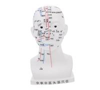 SEWOART Medical Head Model Facial Acupoint Teaching Aid Durable Head Model for Learning Educational Tool for Schools and Laboratories