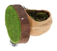 SEWOART Pet Hideout Magnetic Walnut Climbing Platform for Jumping Spiders Habitat Lizard Shelter House Safe Home