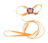 SEWOART Pet Leash for Lizards Lanyard Small Reptile Harness Strong Rope for Outdoor Use for Chameleons and Bearded Dragons