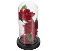 SEWOART Valentine's Day Red Rose Lamp with Glass Dome and LED Light, Romantic Atmosphere Night Light for Home Decor, Preserved Eternal Flower