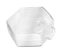 SEWOART Wall-mounted Hydroponic Glass Vase for Indoor Plants, Unique Hexagonal 17cm Hanging Planter for Home and Office Décor