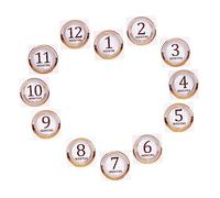 Sewroro 1set Newborn Monthly Stickers Growth Stickers for Scrapbooking and Photography Record Your First Year Matte Finish