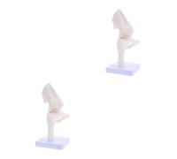 Sewroro 2pcs Realistic Hip Joint Model Human Skeleton Anatomy Bone Joint Model for Teaching and Study, Made of Sturdy Pvc, Easy to Clean, Educational Aid for Hospitals and Laboratories