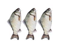 Sewroro 3Pcs Fish Shape Pencil Case Set - Realistic Simulation Carp Fish Zipper Pouch for Boys, Small Cute Pen Storage Bag for School and Office Supplies