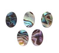 Sewroro 5pcs Abalone Accessories Shell Charms Charms Jewelry Making Accessory for DIY Crafts DIY Jewelry Ornament Necklace