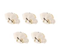 Sewroro 5pcs Realistic Cat Skull Anatomical Model in Beige Pvc with Portable Size and Comprehensive Guide, for Artistic Creation and Home Decor, Anatomical Skeleton Prop for Science