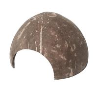 Sewroro Coconut Shell Reptile Hideout for Small Pets Such as Crabs and Lizards Secure Hiding Shelter Not Easy to Overturn Small Pet Habitat Decor