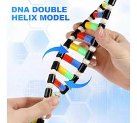 Sewroro Dna Model Kit Double Helix, Science Teaching Display, Self Assembling Genes Learning Model, Teaching Aid, 15. 74 X 2. 24 X 0. 78 Inch