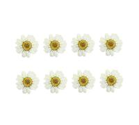 Sewroro Dried Daisy Flowers Resin DIY Crafts 12Pcs Mini Flat Pressed White Daisies for Party Decorations and Photo Frame Art