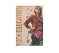 Sex Education TV Show Poster (4) Artworks Canvas Poster Wall Art Prints Home Modern Decor 16x24inch(40x60cm)