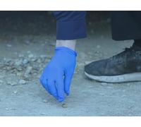 Sex, Lies, And Murder