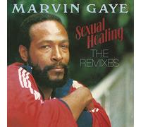 Sexual Healing: The Remixes [12" VINYL]