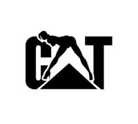 Sexy Cat - Funny Decal - Die Cut Vinyl Decal for Cars, Trucks, Motorcycles, Vans, Laptops, ToolBoxes, Windows, Mobiles, etc (5x5, Yellow)