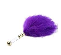 Sexy Feather Stick Erotic Torture Tool Tickling Sexy BDSM Teasing Feather Stick Bed Sensory Toys(Purple）