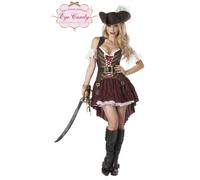 Sexy Swashbuckler Costume Adult Large
