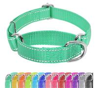Seyezo Martingale Dog Collar, Slip Martin Collar for Dogs with No Buckle, Reflective Pet Trainning Collars for Small Medium Large Pups, Adjustable Heavy Duty Nylon No Pull Slip Collars, L, Turquoise