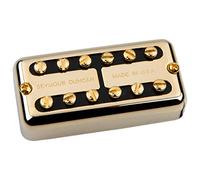Seymour Duncan Micro PSY-HOT-N-G Manche, Gold