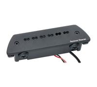 Seymour Duncan SA-6 Mag Mic Acoustic System