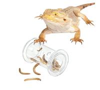 SEZDEKI Bearded Dragon Feeder Toy - Lizard Enrichment Interactive Toy Reptile Terrarium Tank Decor Foraging Accessories for Gecko, Lizard, Bearded Dragon,Chameleon Small Animals