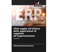 Sfide legate all'utilizzo delle applicazioni di supporto all'organizzazione: Il caso IRH