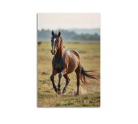 sfjjkh Animal Poster A Regal Horse Running through A Field Poster Wall Art Canvas Aesthetic Cover Painting for Living Room Bed Room 24x36inch(60x90cm) Unframe-style