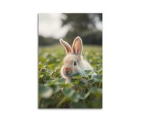 sfjjkh Animal Poster Fluffy Bunny Hiding in A Field of Clover Poster Wall Art Canvas Aesthetic Cover Painting for Living Room Bed Room 12x18inch(30x45cm) Unframe-style