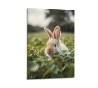 sfjjkh Animal Poster Fluffy Bunny Hiding in A Field of Clover Poster Wall Art Canvas Aesthetic Cover Painting for Living Room Bed Room 08x12inch(20x30cm) Frame-style