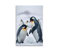 sfjjkh Animal Poster Penguins Having A Snowball Fight Poster Wall Art Canvas Aesthetic Cover Painting for Living Room Bed Room 16x24inch(40x60cm) Unframe-style