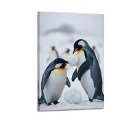 sfjjkh Animal Poster Penguins Having A Snowball Fight Poster Wall Art Canvas Aesthetic Cover Painting for Living Room Bed Room 08x12inch(20x30cm) Frame-style