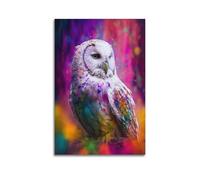 sfjjkh Animal Poster Watercolor Owl Colorful Splashes Vibrant Background Poster Wall Art Canvas Aesthetic Cover Painting for Living Room Bed Room 20x30inch(50x75cm) Unframe-style