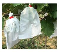 SFQEVHRZ Fruit and Vegetable Protective Bags, 100PCS Fruit Protection Bag Growing Bag, Non-woven Grape Waterproof Sleeve Bag, Anti-bird And Insect-proof Bag(30x40cm)