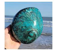 SFQEVHRZ Natural Conch Shells, 14-15Cm Abalone Shell Conch for Decorations DIY Crafts