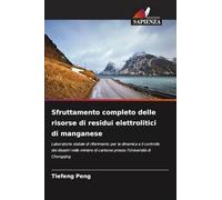 Sfruttamento completo delle risorse di residui elettrolitici di manganese: Laboratorio statale di riferimento per la dinamica e il controllo dei ... di carbone presso l'Università di Chongqing