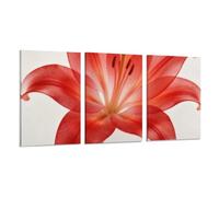 SFXHHWG Red Lily Canvas Wall Art - Modern Floral Prints for Bedroom Living Room Bathroom - 3 Piece Set,Home Decor Poster,Canvas Wall Art Decorative Picture Print,12x18inch(30x45cm)-3pcs