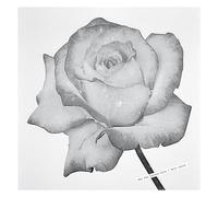 Sg (Andrew Pekler) - For Lovers Only/Rain Suite [VINYL]