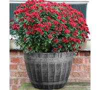 SG Large Round Plastic Beijing Barrel Garden Plant Pot Planter Half Barrels Tub Container Outdoor Herb Patio Pot Tub With Drainage Holes Silver Large Plant Pots Half Barrel D-52cm, H-38cm