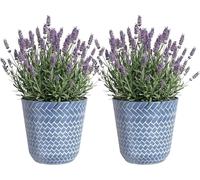 SG Traders Nantucket Plant Pot - Flower Planters Outdoor, Large Garden Pots Elegant Design, Versatile for Your Outdoor Space, Enhance Your Garden (Pack of 2)